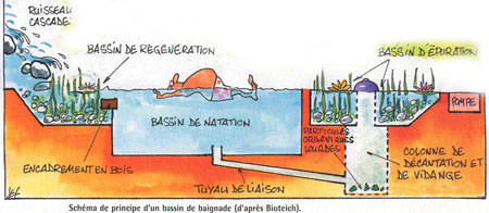 [Shéma d'une piscine biologique]